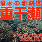2023年 ファンダイビング＠宮古（沖縄：宮古島市）　ダイブNo.324、325、326　4K