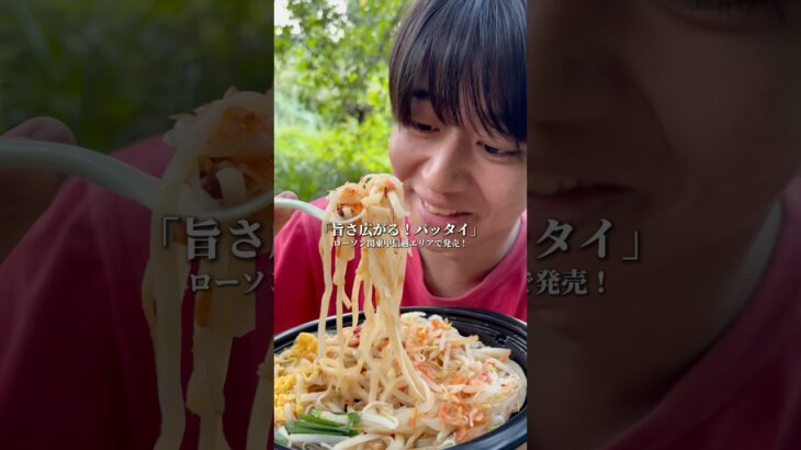 神プラン茨城観光でローソンのアジアンメニューを爆食したら最高の思い出になりました#アジアンメニュー #エスニック料理 #ローソン #関東甲信越エリア #PR