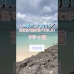 2023年 ＼沖縄マニアおすすめ／宮古島で絶対食べてほしいデザート編Part3#shorts#宮古島#宮古島グルメ