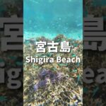 2023年 宮古島Shigira海灘真的好玩，你一定要來