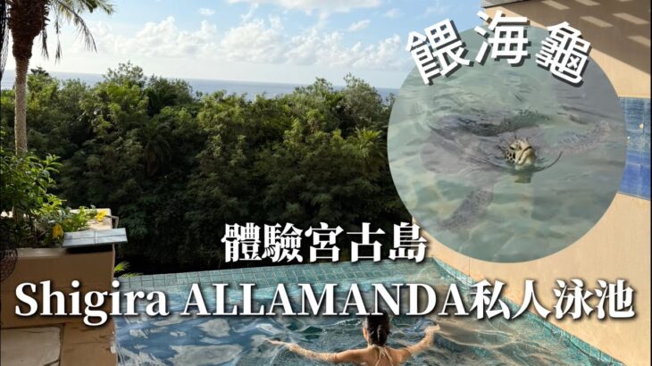 2023年 【宮古島】日本最大私人泳池别墅套房！汐姬繁花海灣套房酒店(Shigira ALLAMANDA)全體驗：私人泳池、餵海龜，三天都玩不完