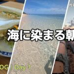 2023年 【始発便で宮古島 吉野海岸へ】サンゴの海で魚と泳ぎ、民宿で泡盛の夜｜社会人の旅 宮古島VLOG Day 1【2025年9月】