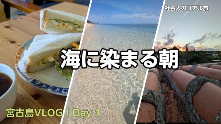 2023年 【始発便で宮古島 吉野海岸へ】サンゴの海で魚と泳ぎ、民宿で泡盛の夜｜社会人の旅 宮古島VLOG Day 1【2025年9月】