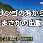 2023年 宮古島の海からまさかのエキストリーム出勤｜社会人の旅 宮古島VLOG Day 3-4 最終話【2025年9月】