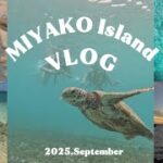 2023年 【宮古島Vlog】 3泊4日女子旅✈️🌺 | サマバケを全力で楽しんだ✨