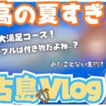 2023年 【宮古島Vlog】宮古島行ったら見たことない生物に出会った【姫宮ばる】