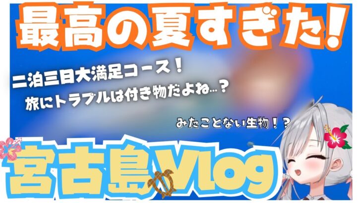 2023年 【宮古島Vlog】宮古島行ったら見たことない生物に出会った【姫宮ばる】