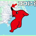 【Vlog】千葉県野田市！関宿城博物館に行く【観光】japan travel vlog #千葉 #茨城 #野田市 #古河市 #古河城 #関宿城 #観光 #散歩 #博物館 #歴史