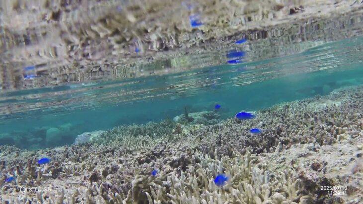 2023年 宮古島⑦　吉野海岸でシュノーケリング（アクションカメラXTU-S6水中撮影）　20250710