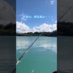 2023年 のらない・・・　　　　　 #打ち込み釣り #フカセ釣り #アウトドア #タマン #ロウニンアジ #宮古島 #沖縄釣り #fishing #fish #ジギング #ルアー#shimano #がまかつ