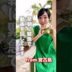 2023年 早朝に動画from宮古島