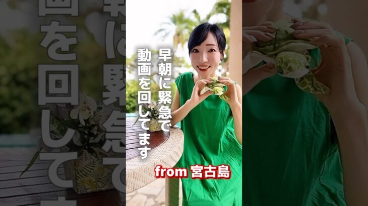 2023年 早朝に動画from宮古島
