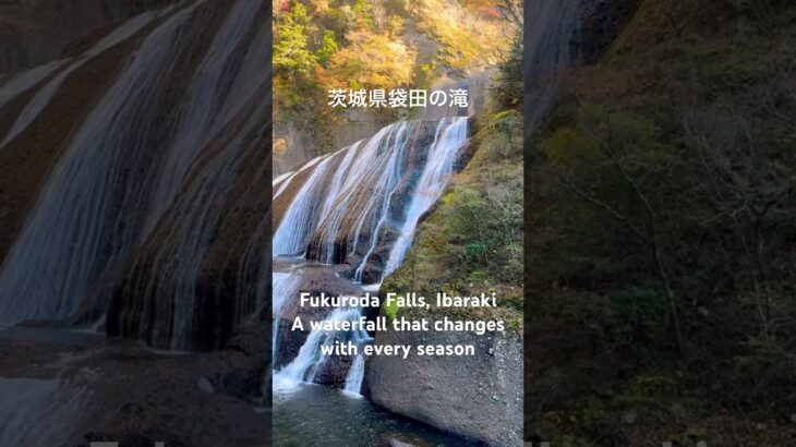 #japan #tourist #旅行 #ドライブ #絶景 #観光 #袋田の滝 #茨城県 #waterfall #滝 #自然
