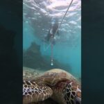 2023年 一個人去下雨天的宮古島，會有多無聊？ #宮古島 #miyakoisland #miyakojima