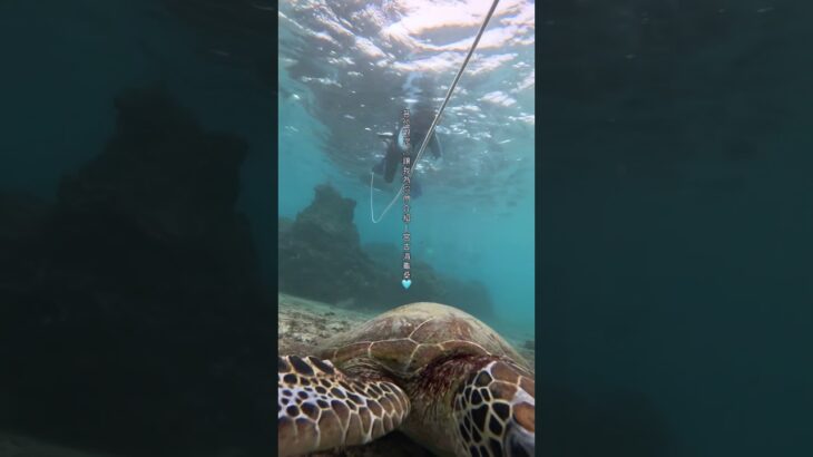 2023年 一個人去下雨天的宮古島，會有多無聊？ #宮古島 #miyakoisland #miyakojima