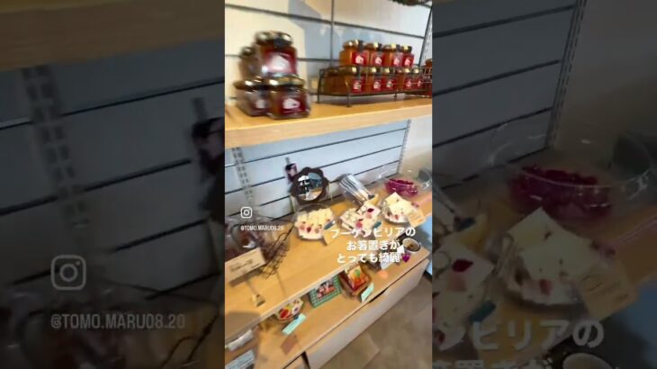 2023年 #宮古島 #沖縄旅行 #miyakojima #宮古島おすすめカフェ#宮古島カフェ