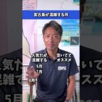 2023年 mrcレンタカー宮古島店　　　宮古島はこれからのシーズンおすすめ！！#宮古島旅行 #レンタカー #沖縄旅行 #リゾート