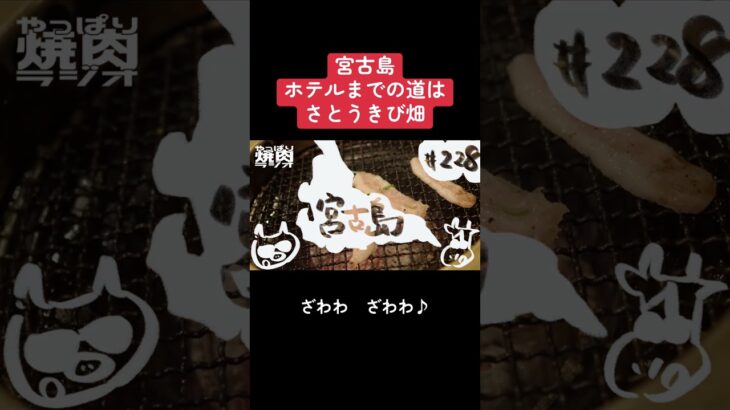 2023年 【切り抜き】宮古島ホテルまでの道はさとうきび畑 #podcast #ラジオ #宮古島 #さとうきび畑