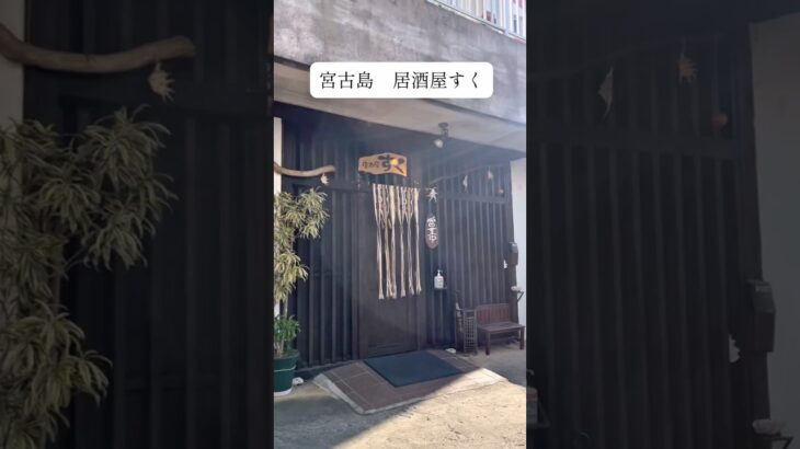 2023年 【宮古島　居酒屋すく】地元民にも愛されるアットホームな居酒屋　#shorts