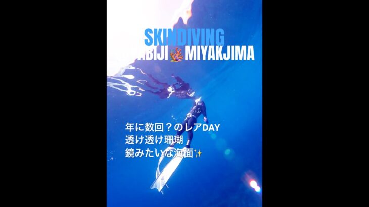 2023年 海面つるぺた＆透明度◎八重干瀬スキンダイビング#skindiving #miyakojima #yabiji  #八重干瀬 #freediving #snorkel #underwater  #宮古島