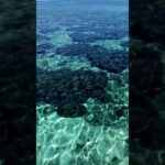 2023年 宮古島ってどんなところ？＃珊瑚 #水面 #travel #宮古島 #空撮 #ドローン #nature #drone #沖縄旅行 #癒し