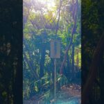 【一歩一歩の先に、奇跡の景色が待っている　御岩神社山頂　茨城県日立市】#パワースポット #茨城県 #日立市 #御岩神社