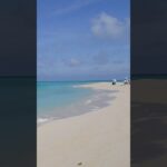 2023年 「幻の浜」からの絶景！透明すぎる宮古ブルー#宮古島#宮古島観光#宮古島旅行#沖縄旅行 #宮古ブルー#ユニの浜#離島#絶景#ビーチ