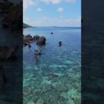 2023年 【爽快】海の上を走る