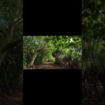 2023年 宮古島　サニツ浜公園