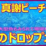2023年 真謝ビーチ　沖のドロップオフ　宮古島
