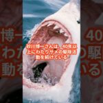 2023年 サメに悩む宮古島