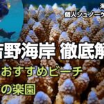 2023年 吉野海岸シュノーケリング完全ガイド｜宮古島で個人シュノーケルするならここ！おすすめビーチを徹底解説