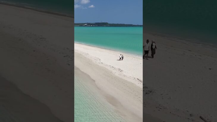 2023年 ユニの浜で散歩