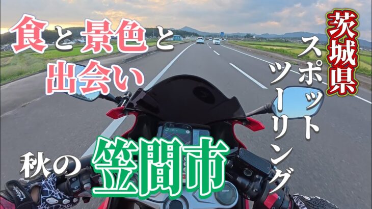 【茨城県】秋の笠間は魅力たっぷり！嬉しい出会いも！【笠間市】