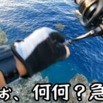 2023年 夏はまだ終わらない！〜宮古島磯泳がせ釣り・打ち込み・ルアーフィッシング〜何をやってもガンガンヒット！！