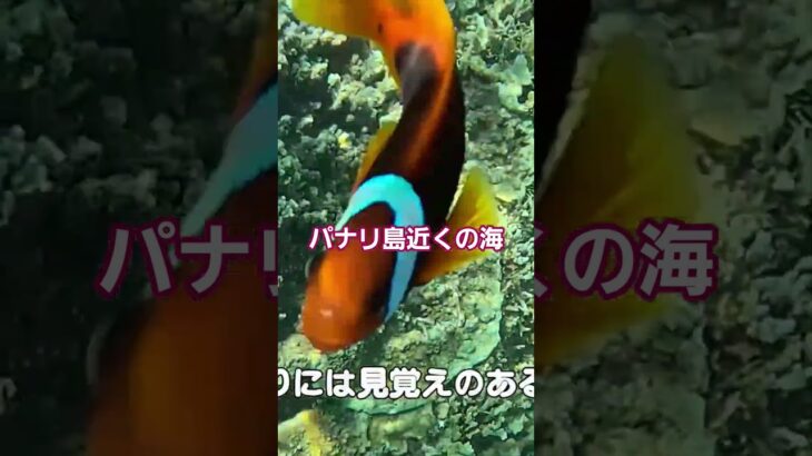 2023年 【八重山諸島と宮古島】本編もお楽しみ下さい。#石垣島#小浜島#黒島#西表島#宮古島#伊良部島