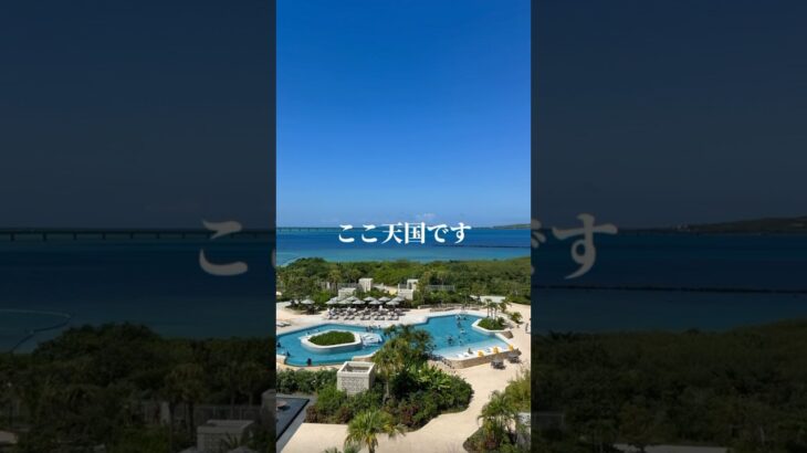 2023年 旅行でも無能な三十路！？とりあえず、宮古島最高。#宮古島 #沖縄 #三十路 #おじさん