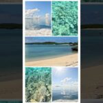 2023年 宮古島でまた必ずシュノーケリングがしたい🤿✨