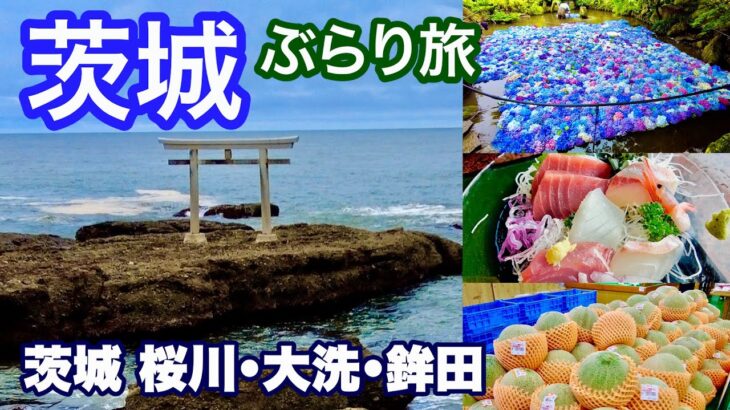 【茨城ぶらり旅／夏の旬を見て・味わう日帰り旅】鉾田メロンを格安購入♪(サングリーン旭)／大洗で新鮮磯料理を満喫／県内一のあじさい祭・坂東二十四番札所「雨引観音」／那珂湊おさかな市場