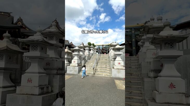 ＼日本唯一の／夢叶えテーマパーク#大杉神社⛩️茨城の日光東照宮といわれている神社