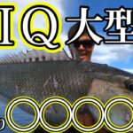 2023年 大型に成長する程かしこくなる！