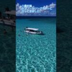 2023年 宮古島八重干瀬シュノーケリングツアー