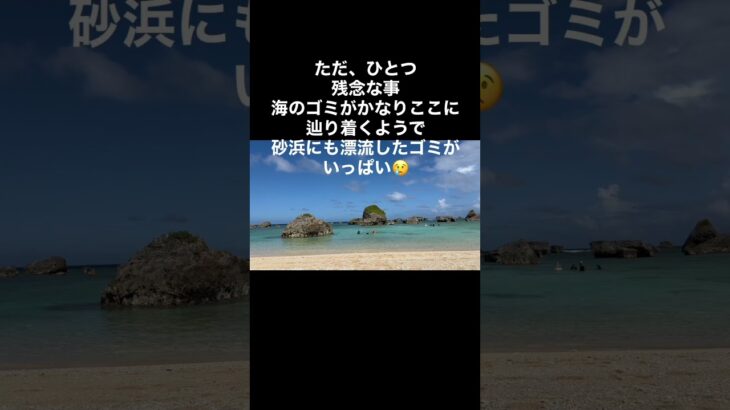 2023年 #ウミガメ#ウミガメと泳ぐ#宮古島#宮古島おすすめ