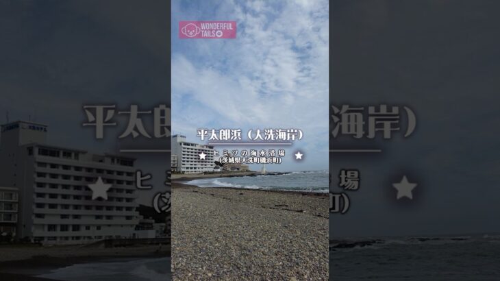 【 #ペットさんぽ 】茨城県大洗町・平太郎浜（大洗海岸）