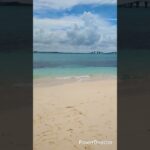 2023年 宮古島ブルー