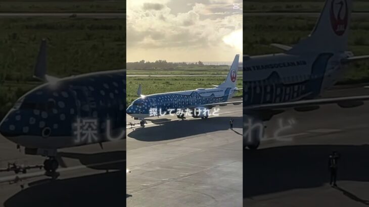 2023年 本当に宮古島沖縄ありがとうございました