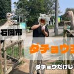 茨城県石岡市 ダチョウ王国で動物達と会ってきた😚