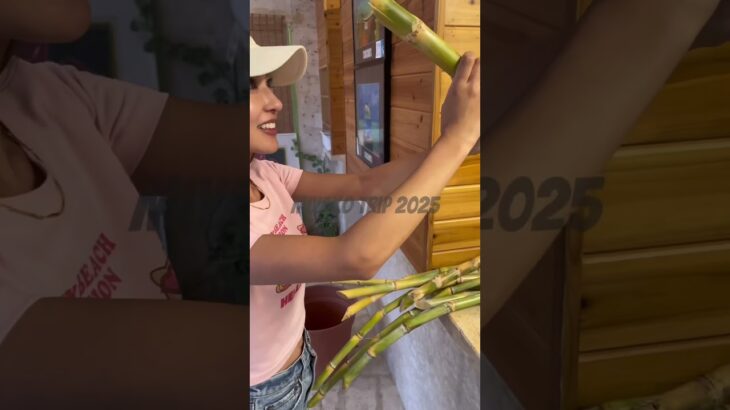 2023年 宮古島旅行記録✈️