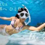 2023年 宮古島ブルーを、独り占め｜心奪われる海でスキンダイブ！
