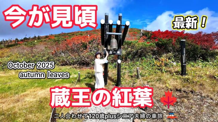 【蔵王観光】今が見頃!蔵王の紅葉とエメラルドグリーンの火口湖「御釜」の絶景